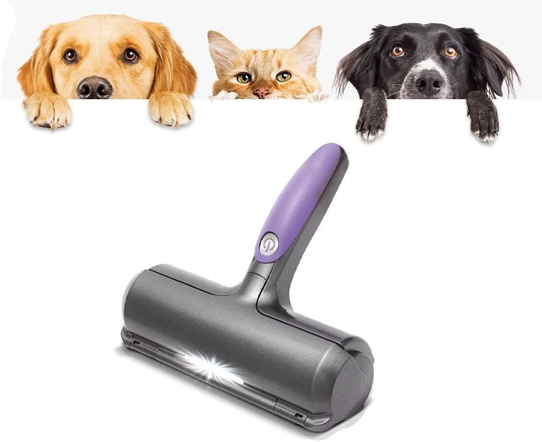 Carpet Hair Removal With Light - For Boo n Meow