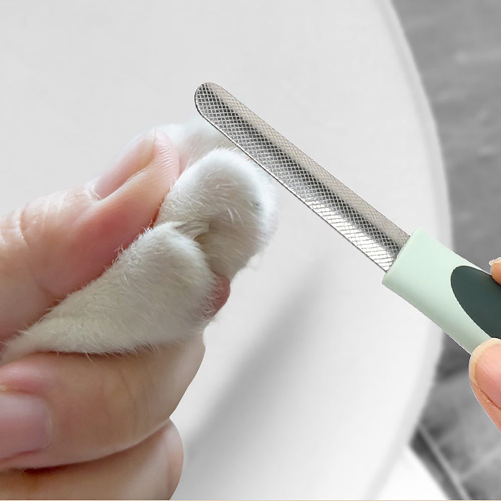 pet  Grooming Kit