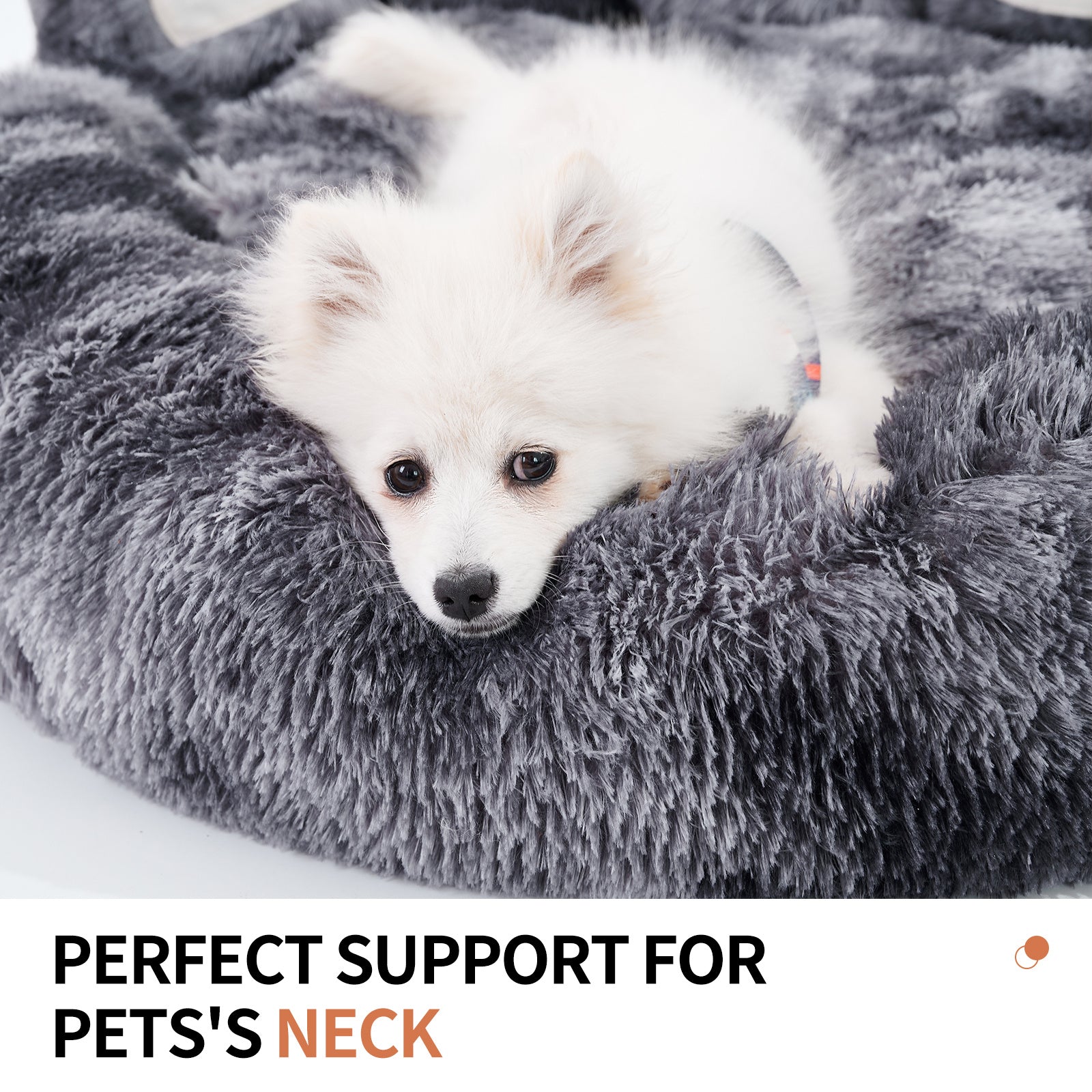 Boo n Meow™ Standing Bear Paw Pet Sofa