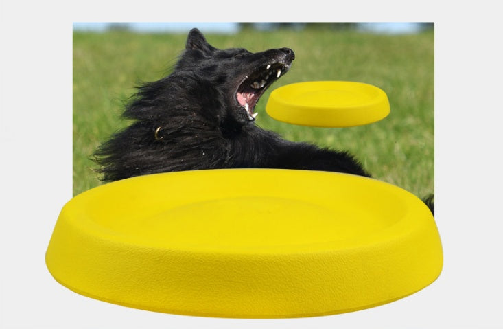 Boo n Meow™ Durable Dog Frisbee