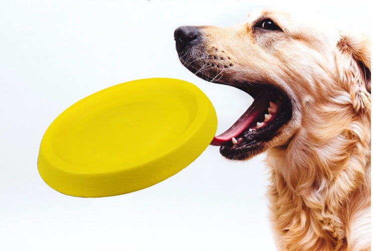 Boo n Meow™ Durable Dog Frisbee