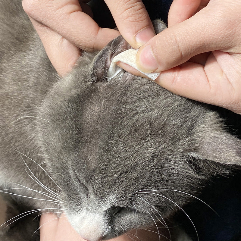 Special Earwax and Eyes Cleaning Wipes - For Boo n Meow