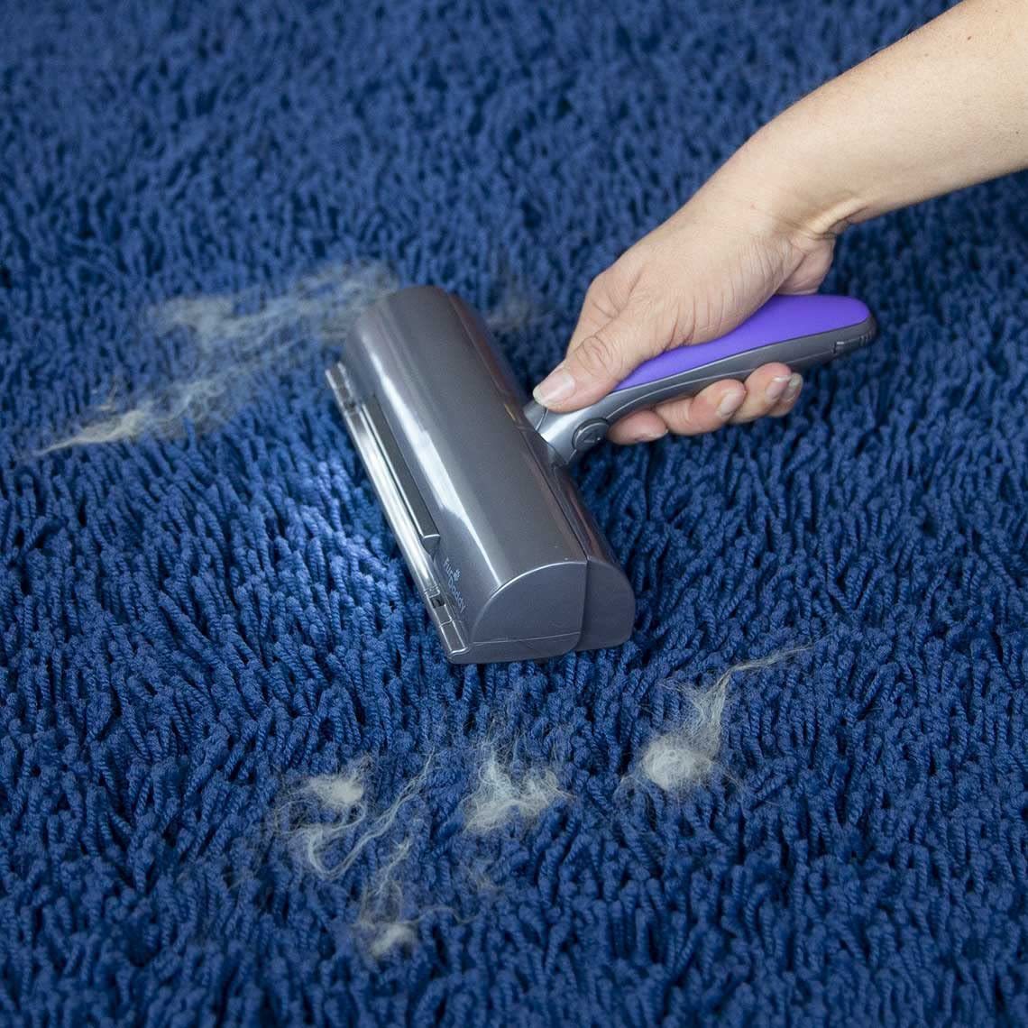 Carpet Hair Removal With Light - For Boo n Meow