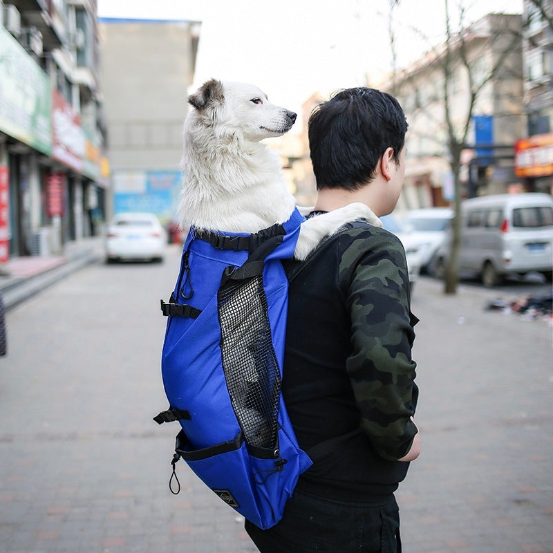 Dogs Backpack Out Double Shoulder Portable Travel Backpack