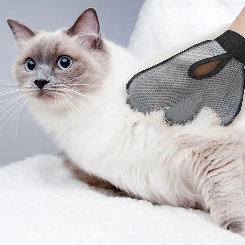 Pets Massage/Bathing & Hair Removal Brush - Boo n Meow