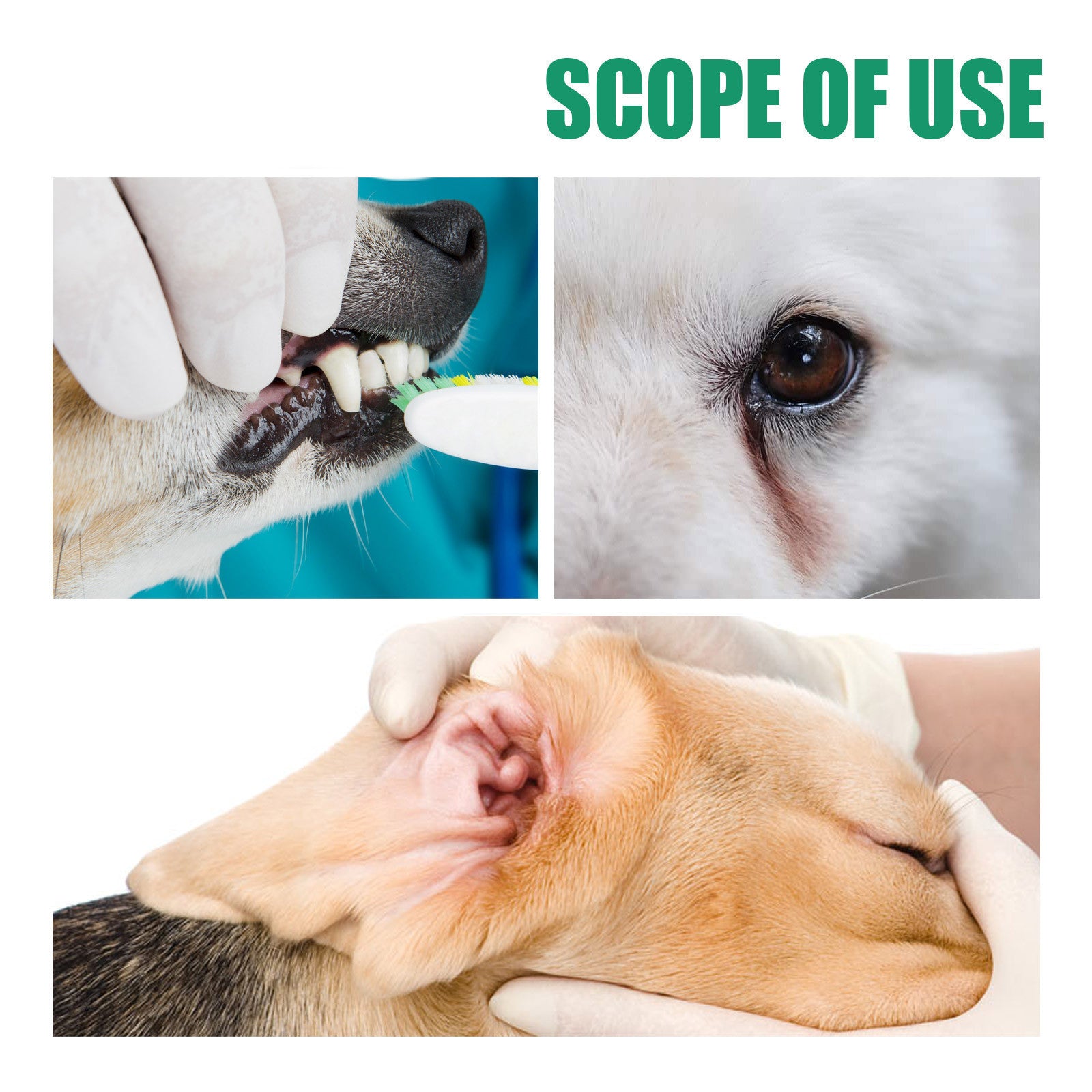 Boon Meow™ CleanPaws Dental Wipes