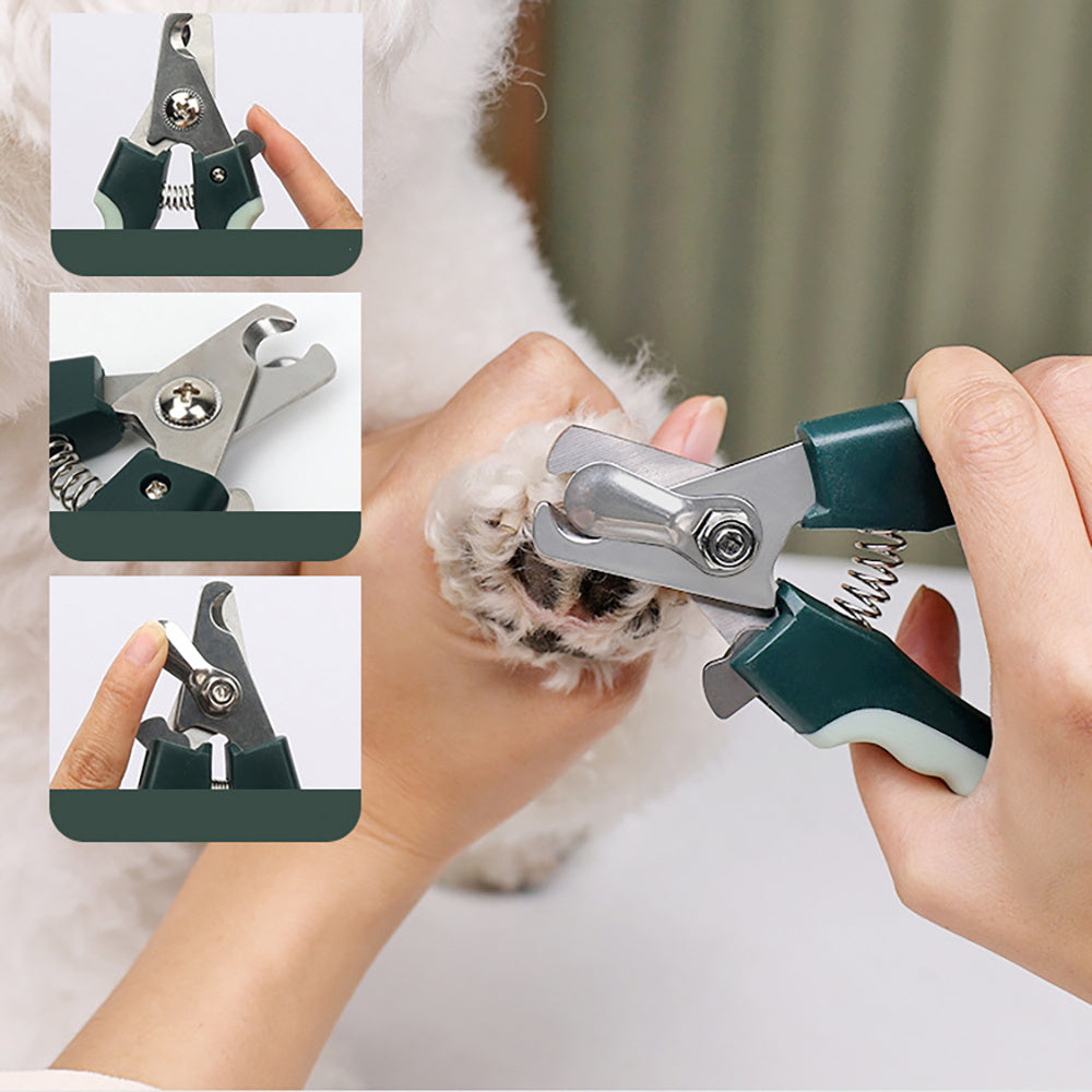 pet  Grooming Kit