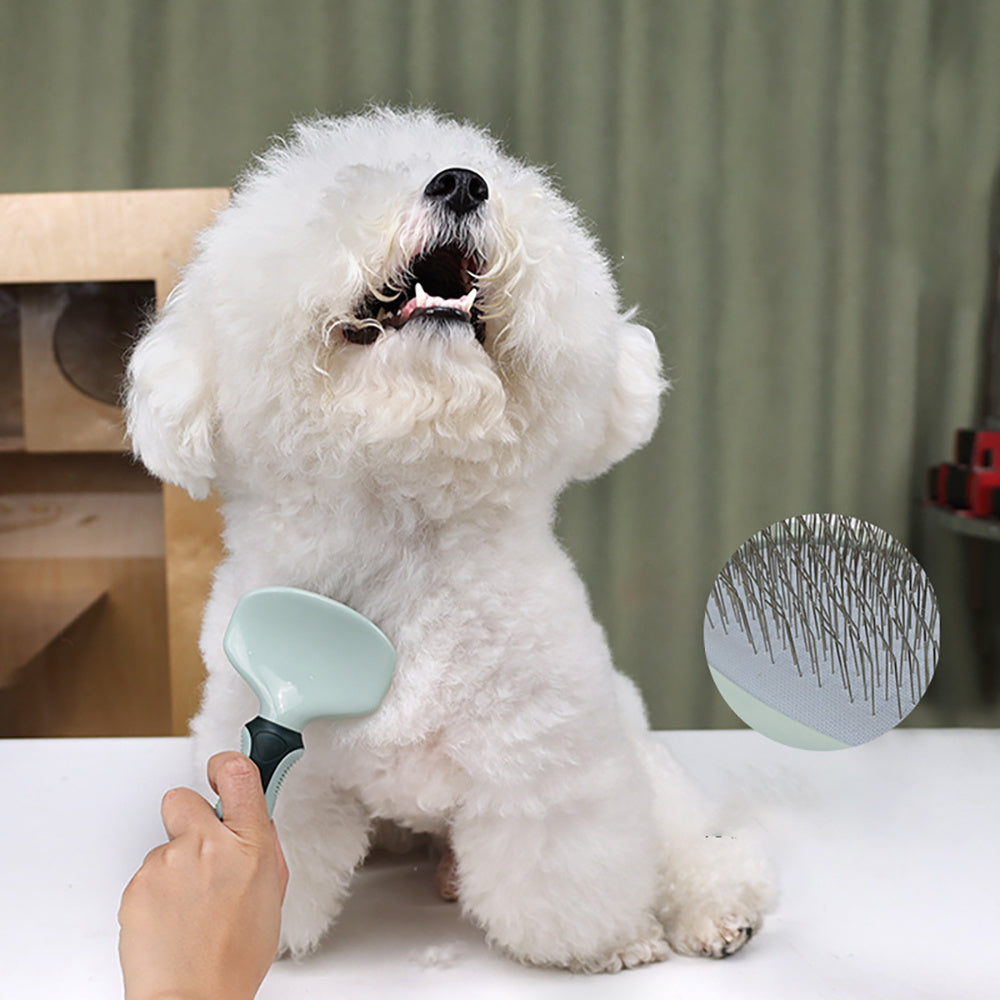 pet  Grooming Kit
