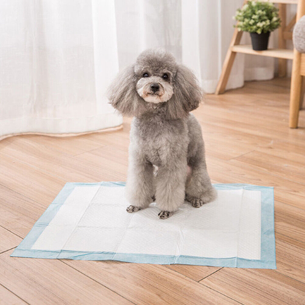 60x Large Puppy Diaper Pads