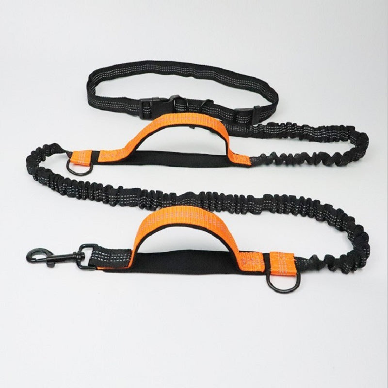 Boon Meow™ Multi-Use Pet Leash