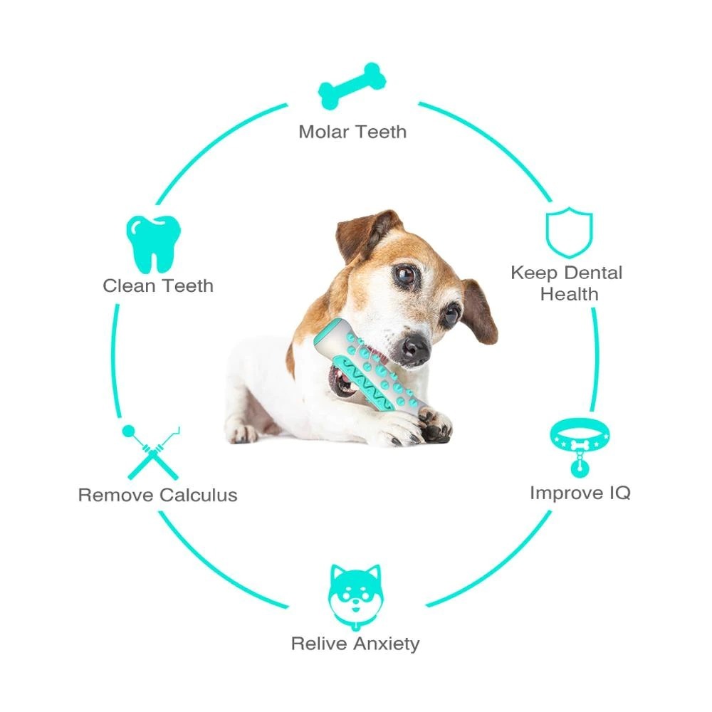 Boo n Meow™ Durable Dog Tooth Cleaning Toy