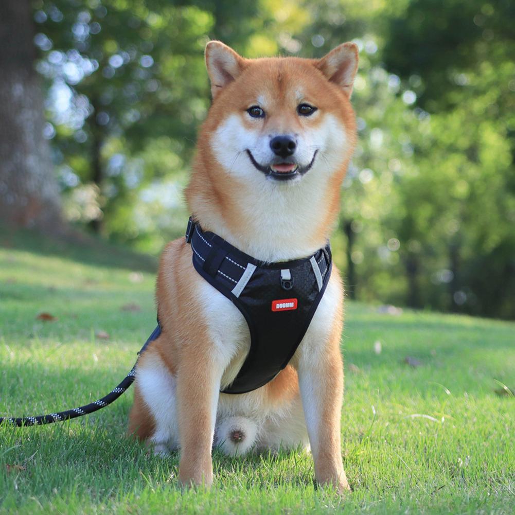 Nylon Dog Harness No Pull Breathable Reflective Pet Harness Vest For Small Large Dog Outdoor Running Dogs