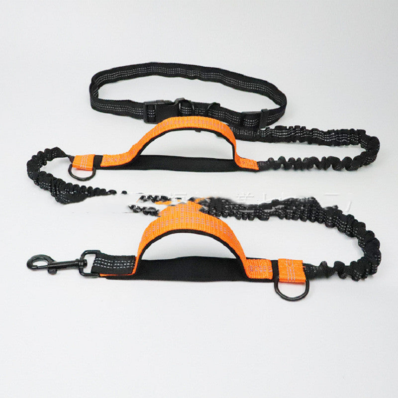 Boon Meow™ Multi-Use Pet Leash